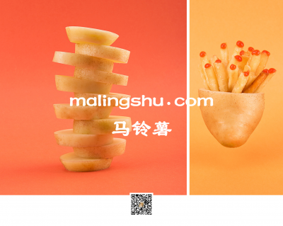 malingshu.com